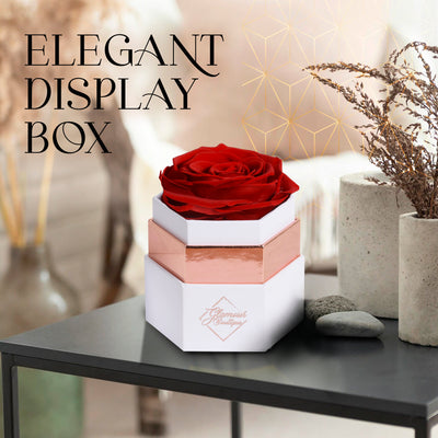 Hexagon Single Forever Rose Box - Immortal Rose - Red