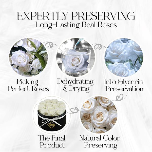 Eternal Prestige Velvet Black | 12 White Roses