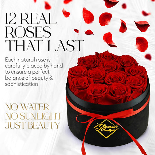 Eternal Prestige Velvet Black | 12 Red Roses