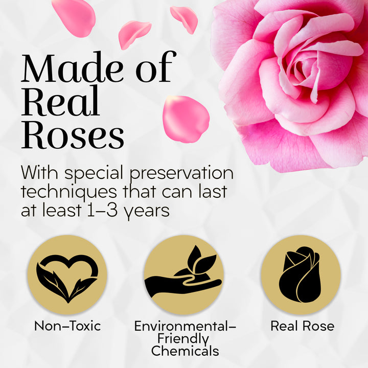 Lasting Beauty Round Black Gold Box | 12 Pink Roses