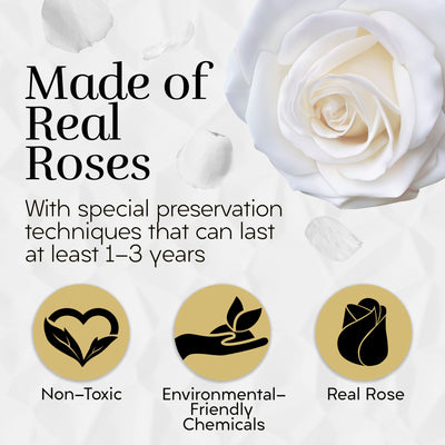 12 Preserved Real Roses in Round Black & Gold Box - White