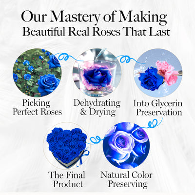 Immortal Love  Heart Box |16 Blue Roses