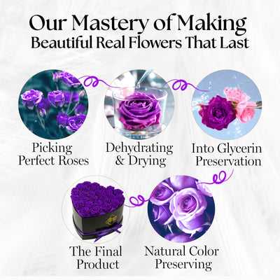 Immortal Love Heart Box |27 Purple Roses