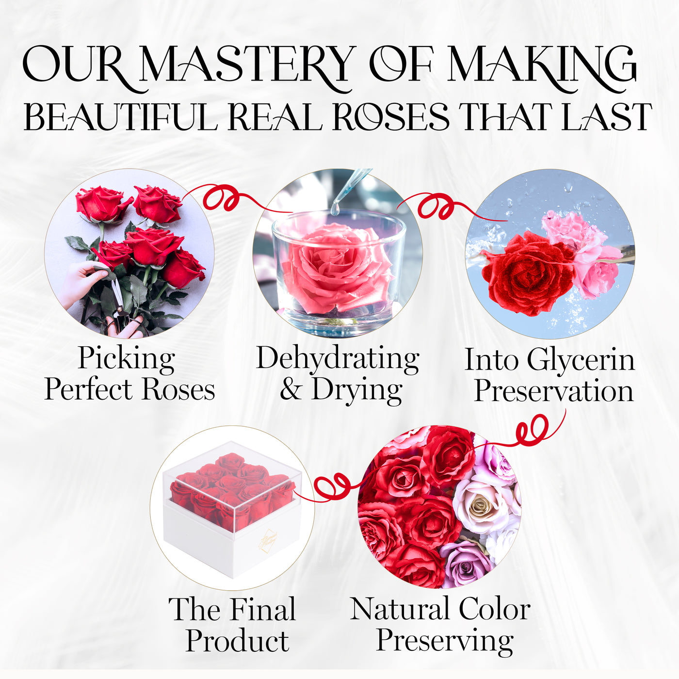 Eternal Elegance Square White | 9 Red Roses