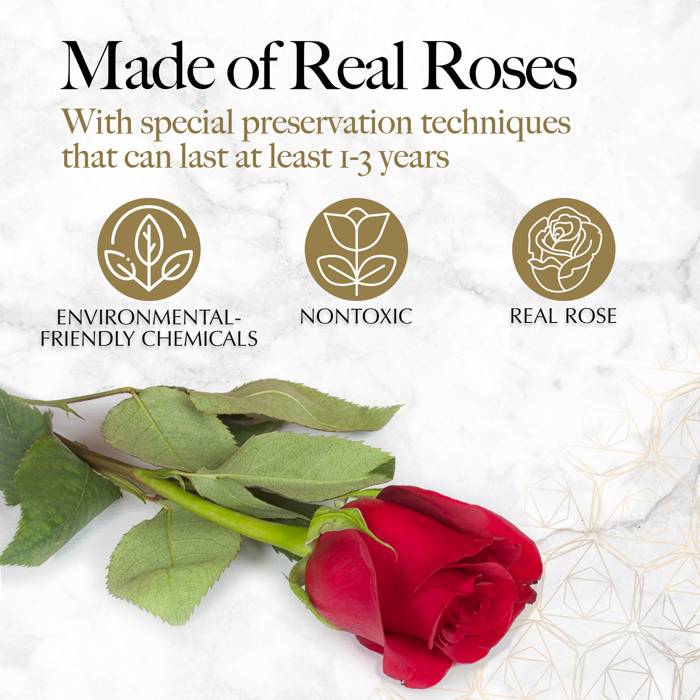 27-Piece Forever Flowers Heart Shape Box - Handmade Real Preserved Roses - Red