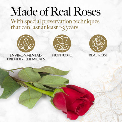 27-Piece Forever Flowers Heart Shape Box - Handmade Real Preserved Roses - Red