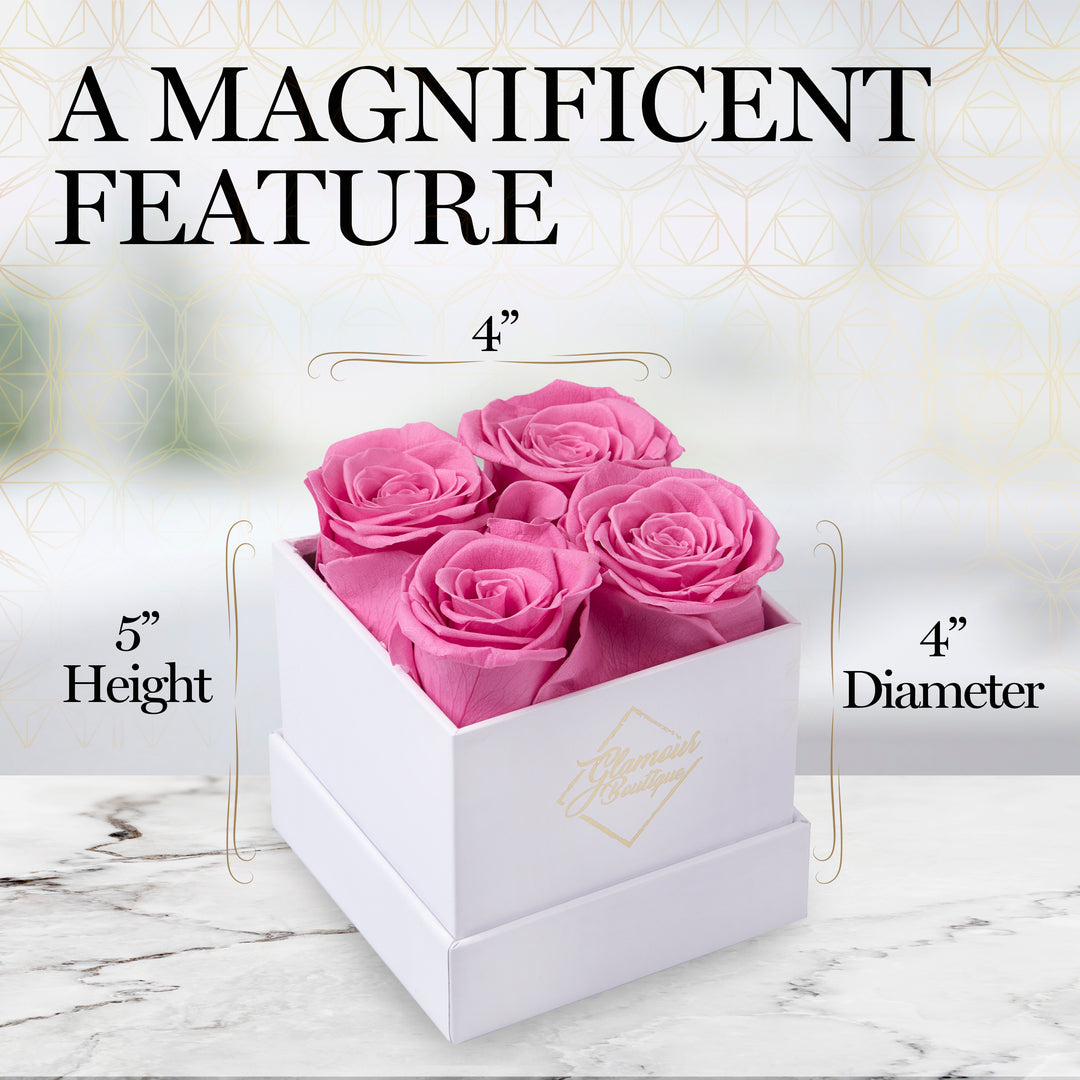 Eternal Prestige White | 4 Pink Roses