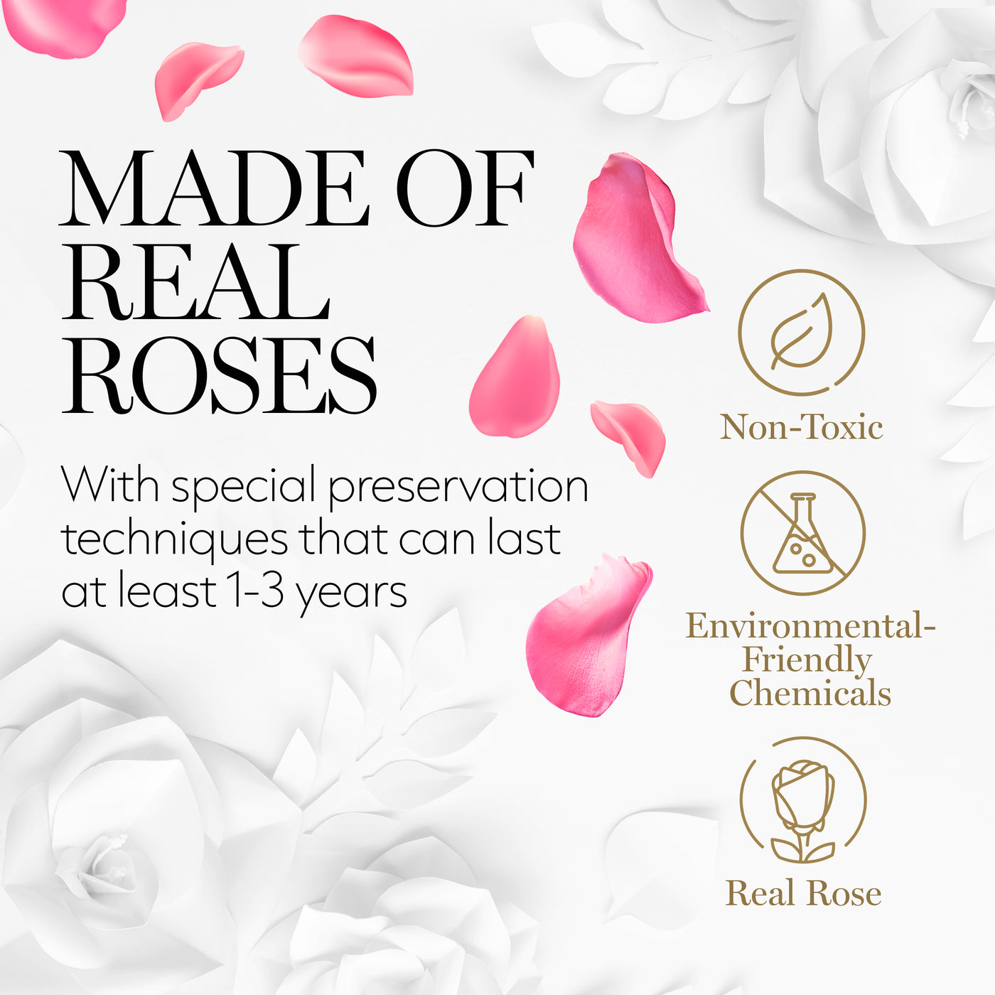 Eternal Prestige Velvet White |4 Pink Roses