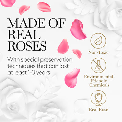 Eternal Prestige Velvet White |4 Pink Roses