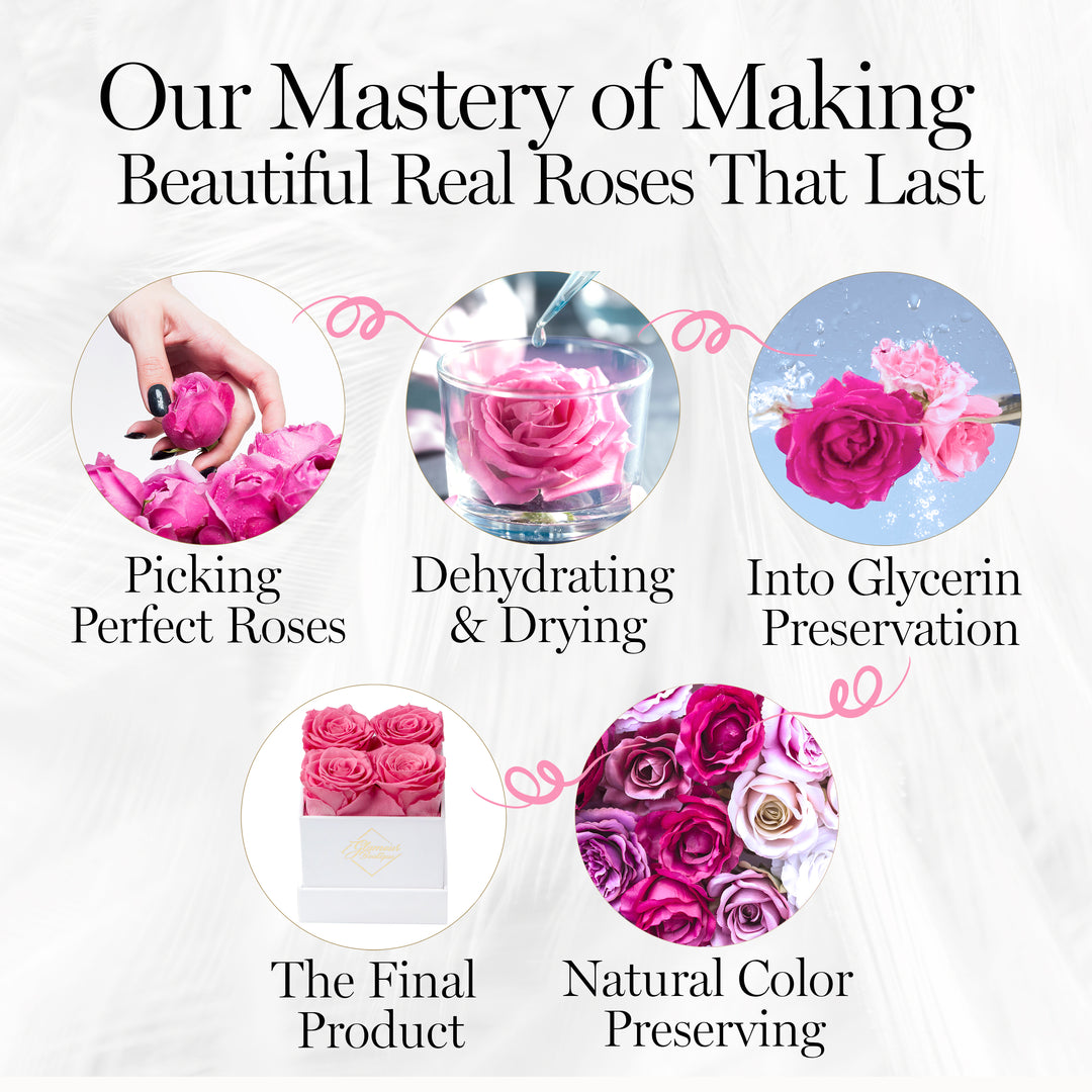 Eternal Prestige White | 4 Pink Roses