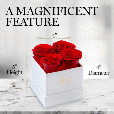 Preserved Roses in a Box - 4 Roses Flowers Decor  Cased in A Square Gift Box with Lid - Pink