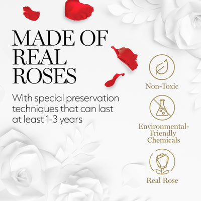 Preserved Roses in a Box - 4 Roses Flowers Decor  Cased in A Square Gift Box with Lid - Pink