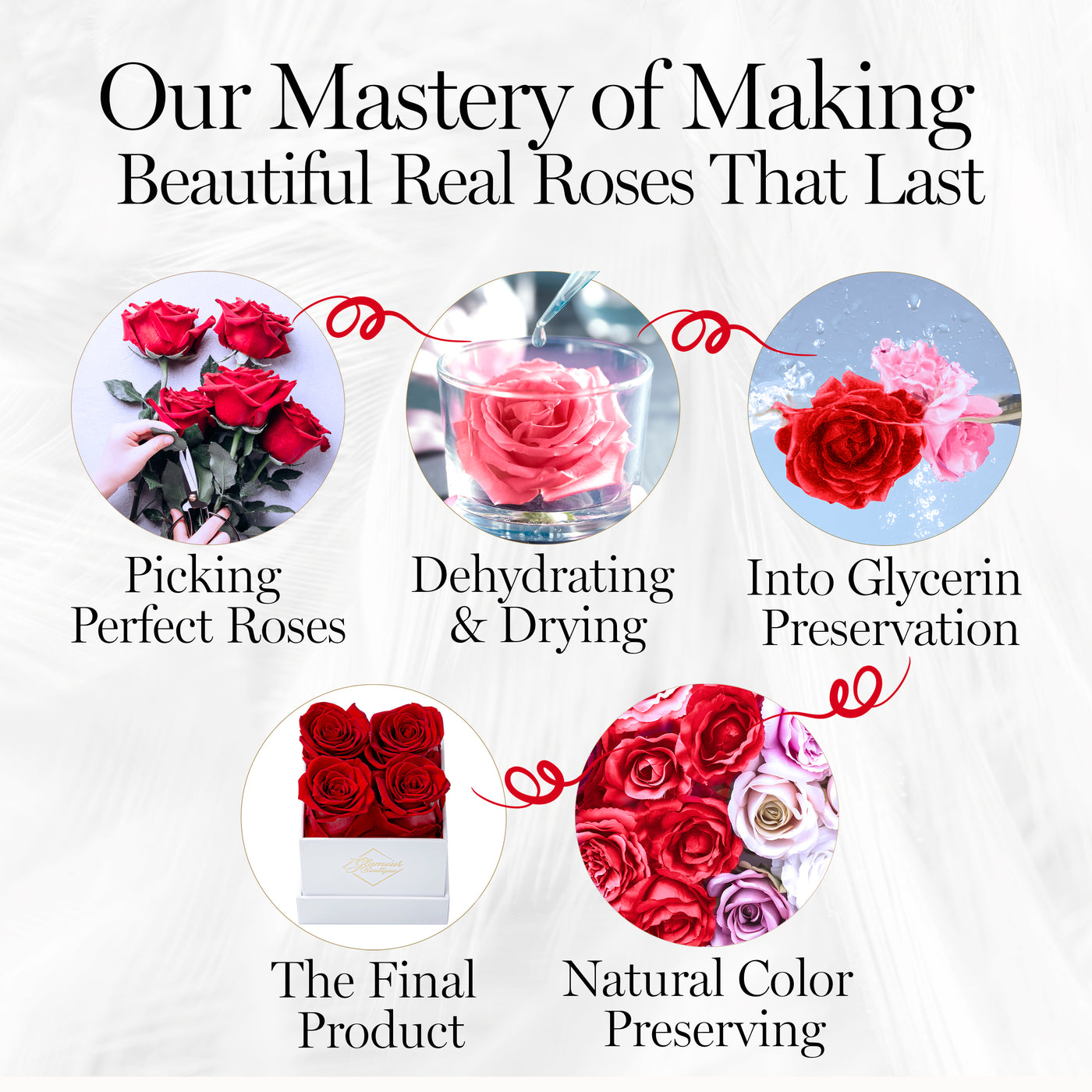 Preserved Roses in a Box - 4 Roses Flowers Decor  Cased in A Square Gift Box with Lid - Pink
