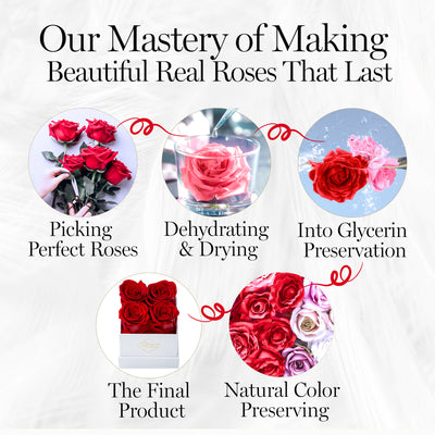 Eternal Prestige Velvet White | 4 Red Roses
