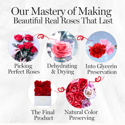 Preserved Roses in a Box - 4 Roses Flowers Decor  Cased in A Square Gift Box with Lid - Pink