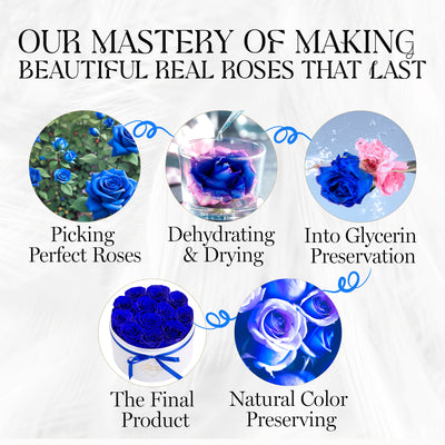 Eternal Prestige Velvet White |12 Blue Roses