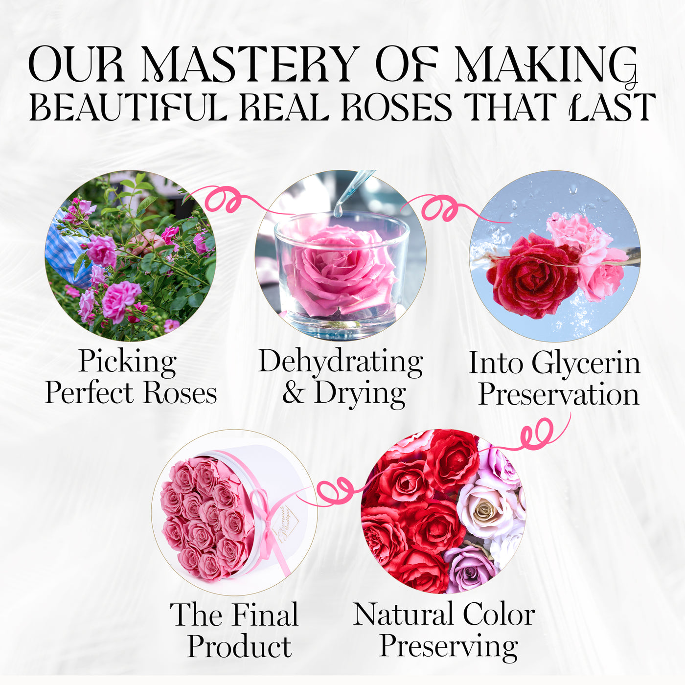 12 Preserved Real Roses in Round Velvet White Box - Pink
