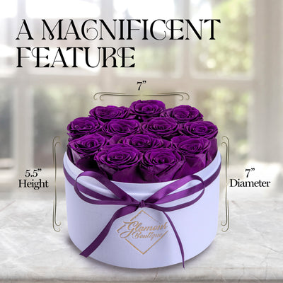 Eternal Prestige Velvet White |12 Purple Roses