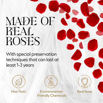 12 Preserved Real Roses in Round Velvet White Box