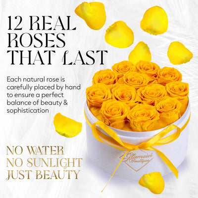 Eternal Prestige Velvet White |12 Yellow Roses