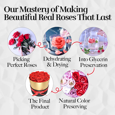 12 Preserved Real Roses in Round Black & Gold Box - Red