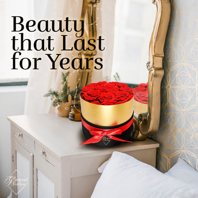12 Preserved Real Roses in Round Black & Gold Box - Red