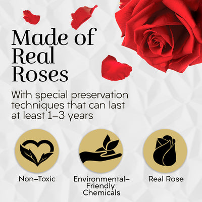 12 Preserved Real Roses in Round Black & Gold Box - Red