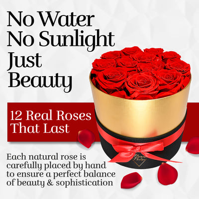 Lasting Beauty Round Black Gold Box |12 Red Roses