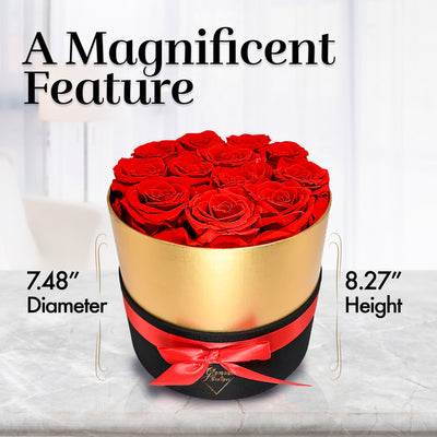 12 Preserved Real Roses in Round Black & Gold Box - Red