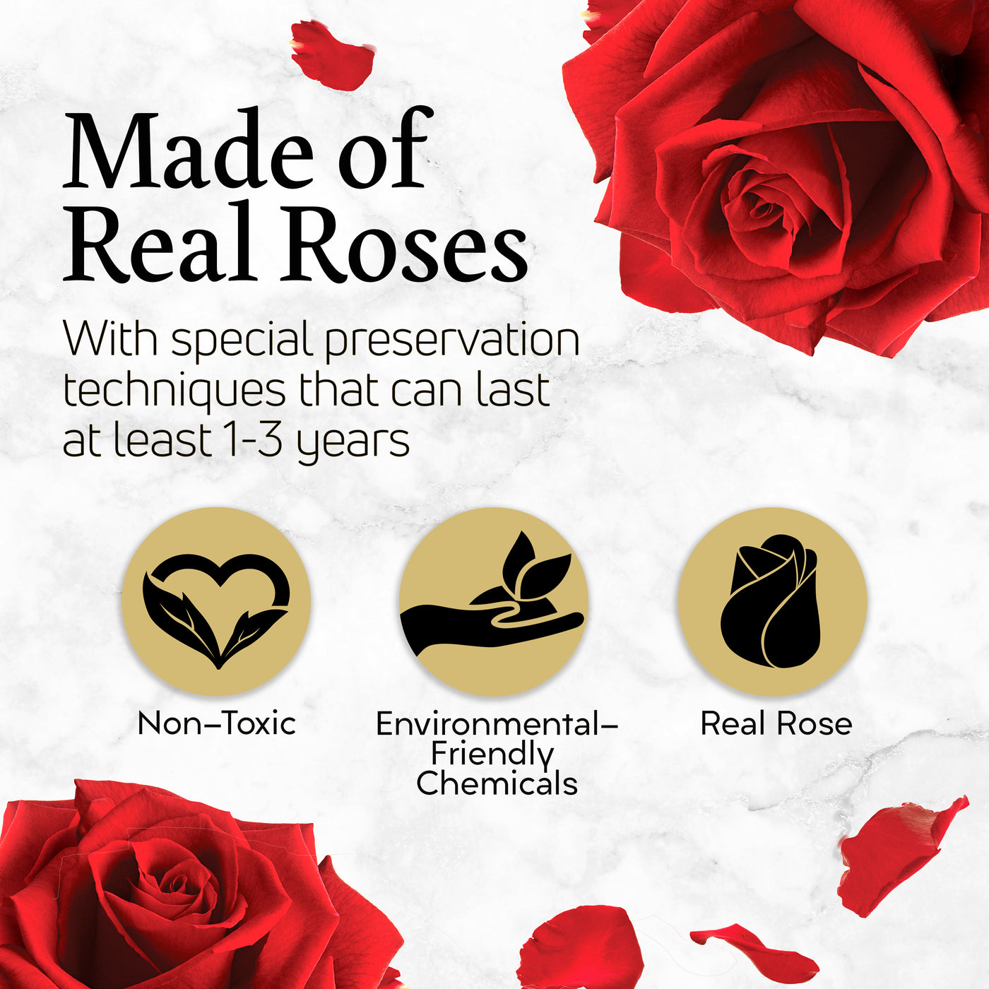 19 Preserved Real Roses in Round Black & Gold Box - Red
