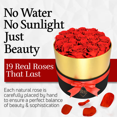 19 Preserved Real Roses in Round Black & Gold Box - Red