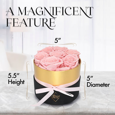 7 Preserved Real Roses in Round Black & Gold Box - Pink