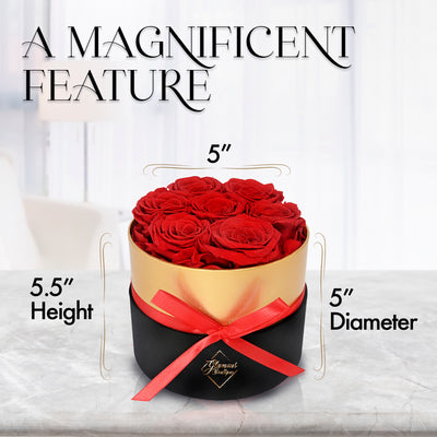 7 Preserved Real Roses in Round Black & Gold Box - Red