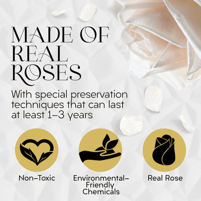 7 Preserved Real Roses in Round Black & Gold Box - White