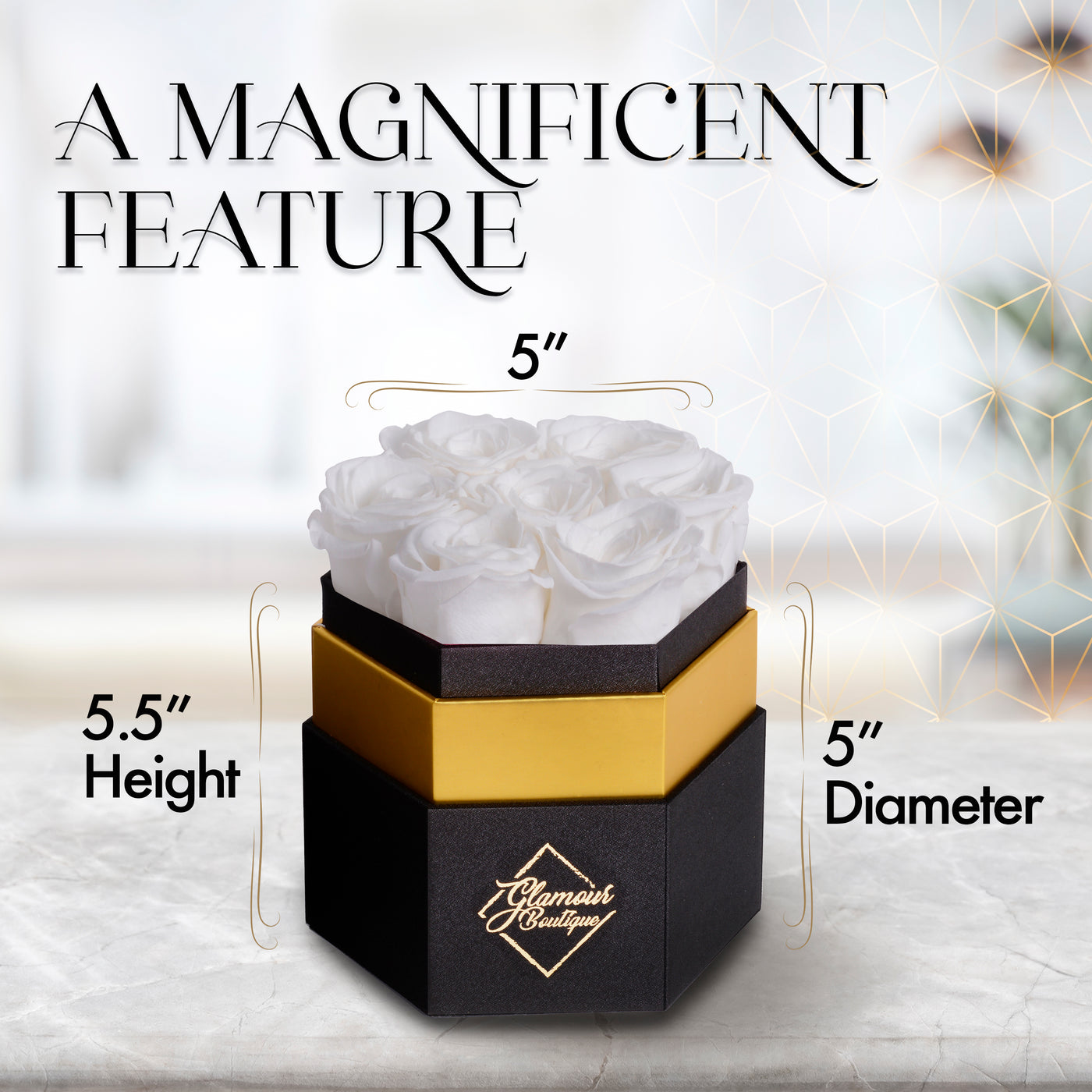 Timeless Charm  Hexagon Box | 7 White Roses