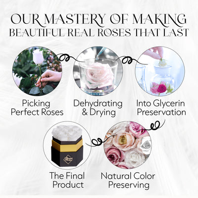 7-Piece Forever White Rose Box - Preserved Roses in a Hexagon Box