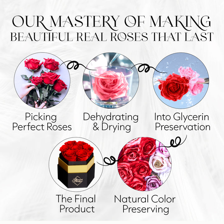 Timeless Charm  Hexagon Black Box | 7 Red Roses