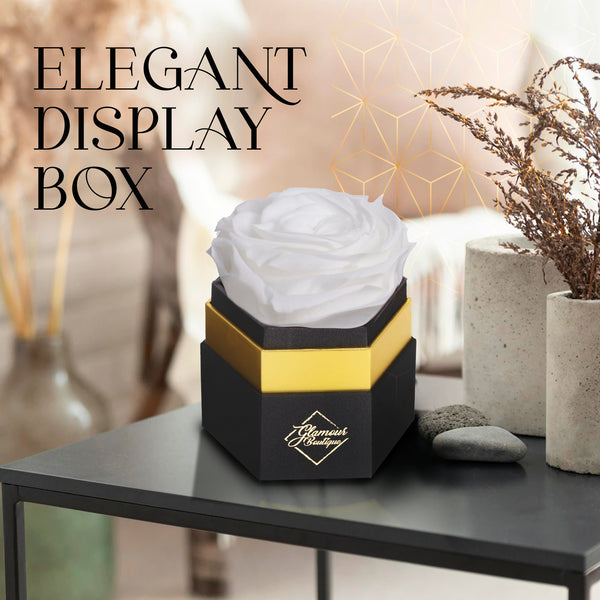 Timeless Charm  Hexagon Box | 1 White Immortal Rose