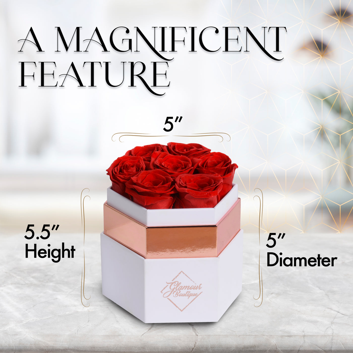 Timeless Charm  Hexagon White Box | 7 Red Roses