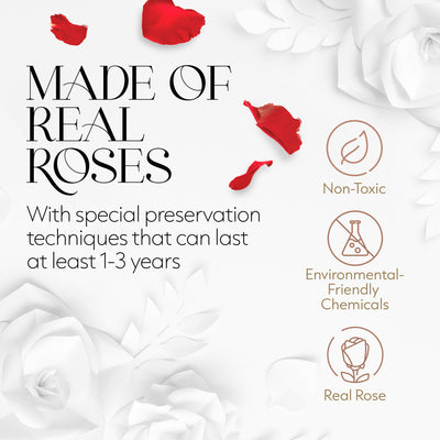Hexagon Single Forever Rose Box - Immortal Rose - Red