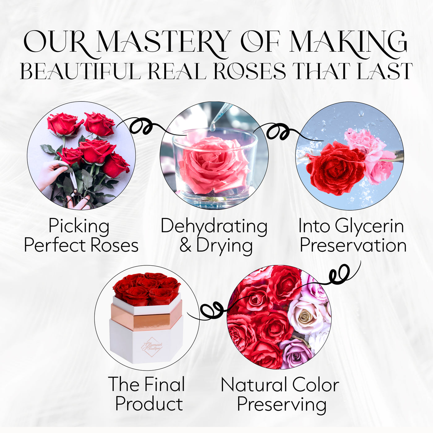 Timeless Charm  Hexagon Box | Red Immortal Rose