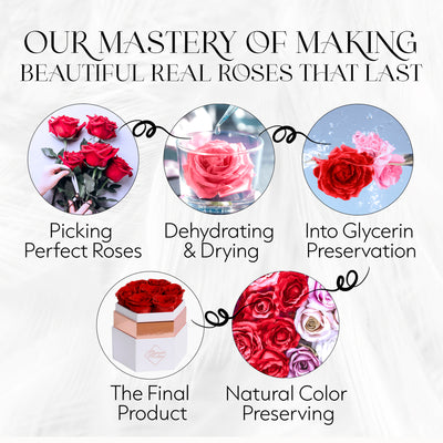 Hexagon Single Forever Rose Box - Immortal Rose - Red