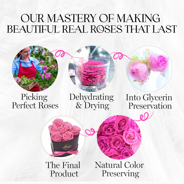 Immortal Love Black Heart | 7 Pink Roses