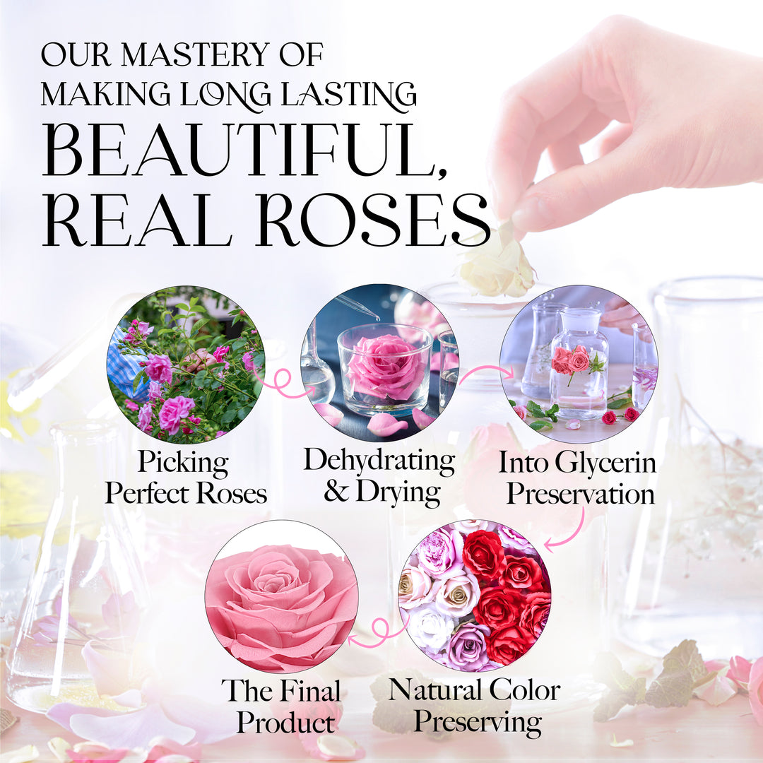 Everlasting Grace Forever Rose With Necklace | Pink