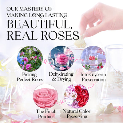 Everlasting Grace Forever Rose With Necklace | Pink