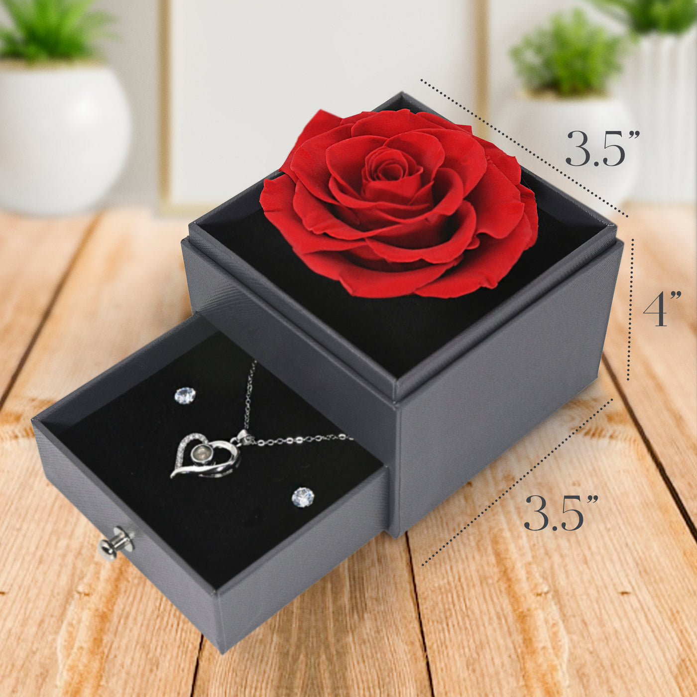 Glamour Boutique Preserved Rose in a Box with I Love You Necklace in 100 Languages - Enchanted Flower Jewelry Set with Silver Stud Earrings - Red