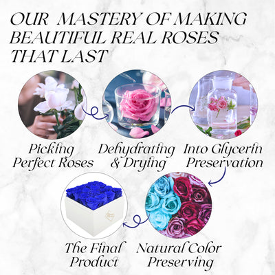 16 Preserved Roses Cased in White Box with Acrylic Cover - Sapphire