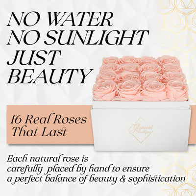 Eternal Elegance Square White |  16 Peach Roses