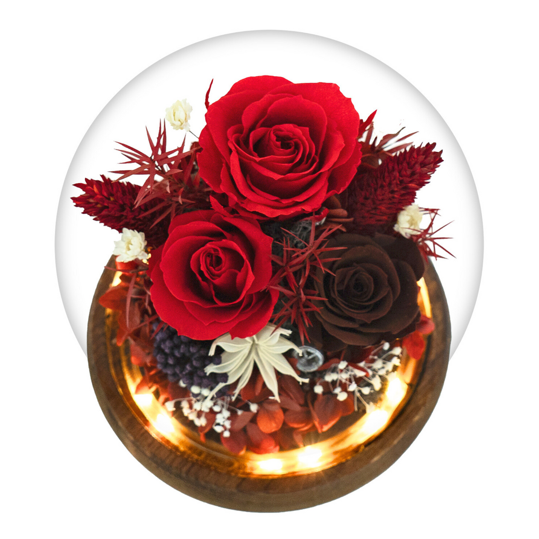 Romance Promises glass dome with a forever red preserved rose - Glamour Boutique