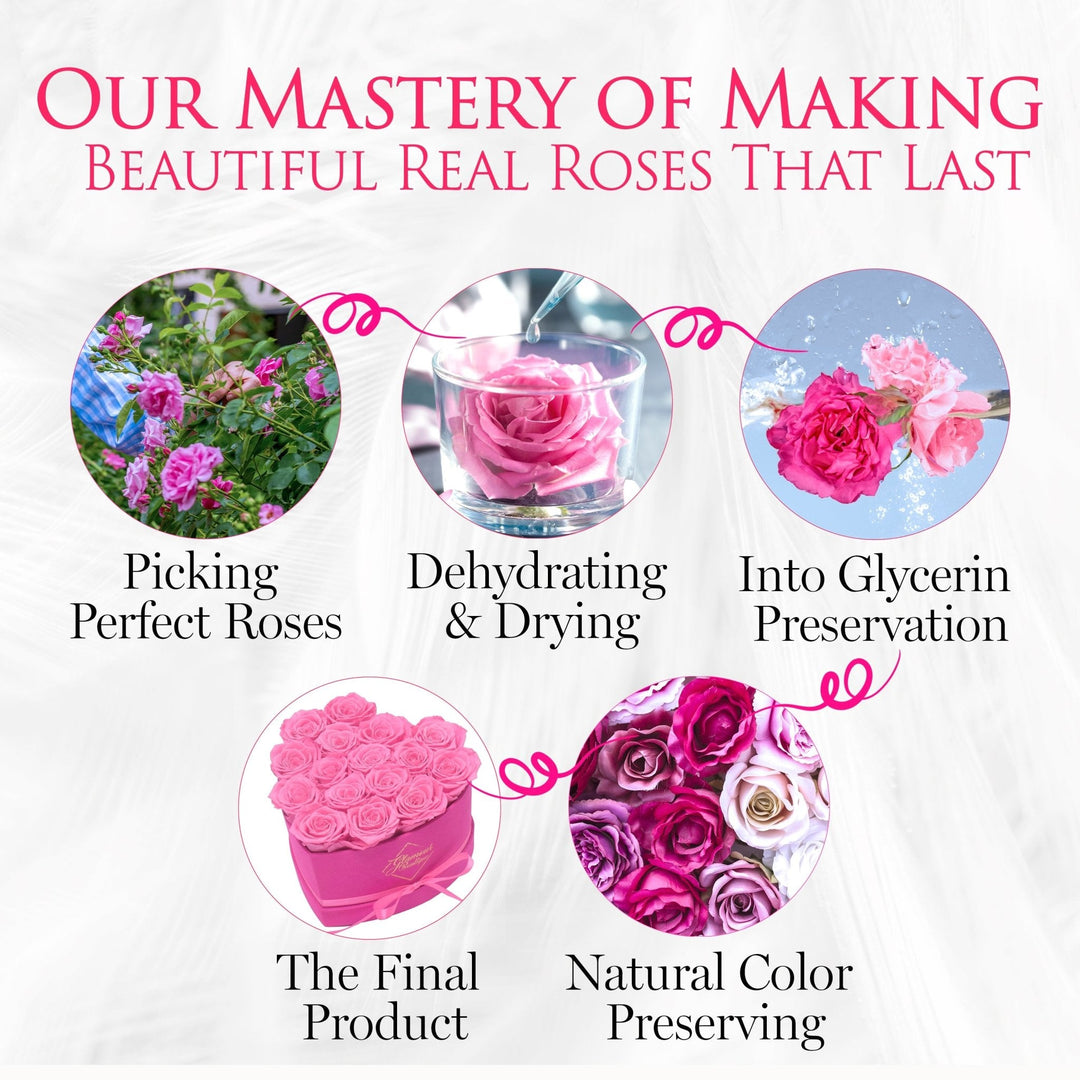 BarBe Heart Box |16 Pink Roses - theglamourboutiques